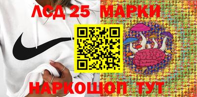 крисы Моздок