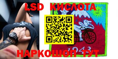 ешки Можга