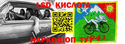крисы Моздок