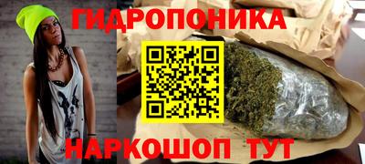 ешки Можга