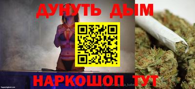 крисы Моздок