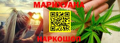 крисы Моздок