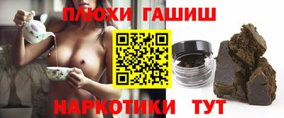 крисы Моздок